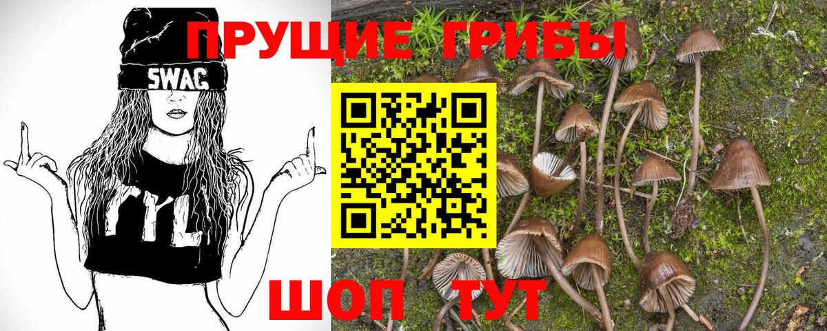 магазин    Вход с VPN  Острогожск  Галлюциногенные грибы Psilocybe 
